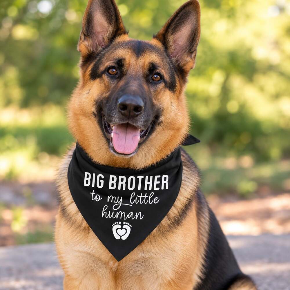 Big Brother to My Little Human Dog Bandana – Black Pregnancy Announcement – NEW